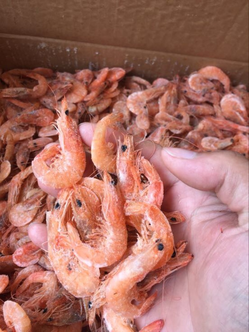 南美白对虾食用冰鲜虾