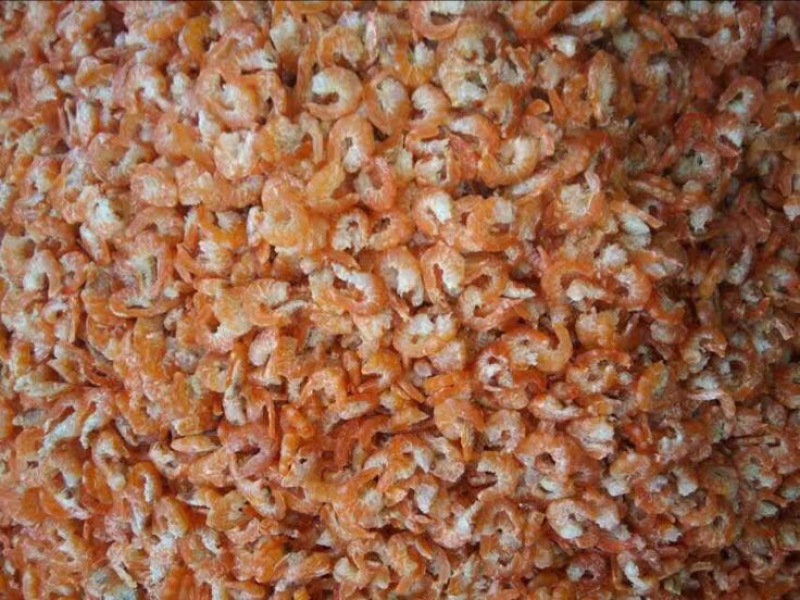南美白对虾食用冰鲜虾
