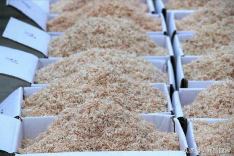 南美白对虾食用冰鲜虾