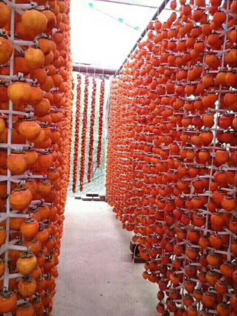 柿饼1~2两