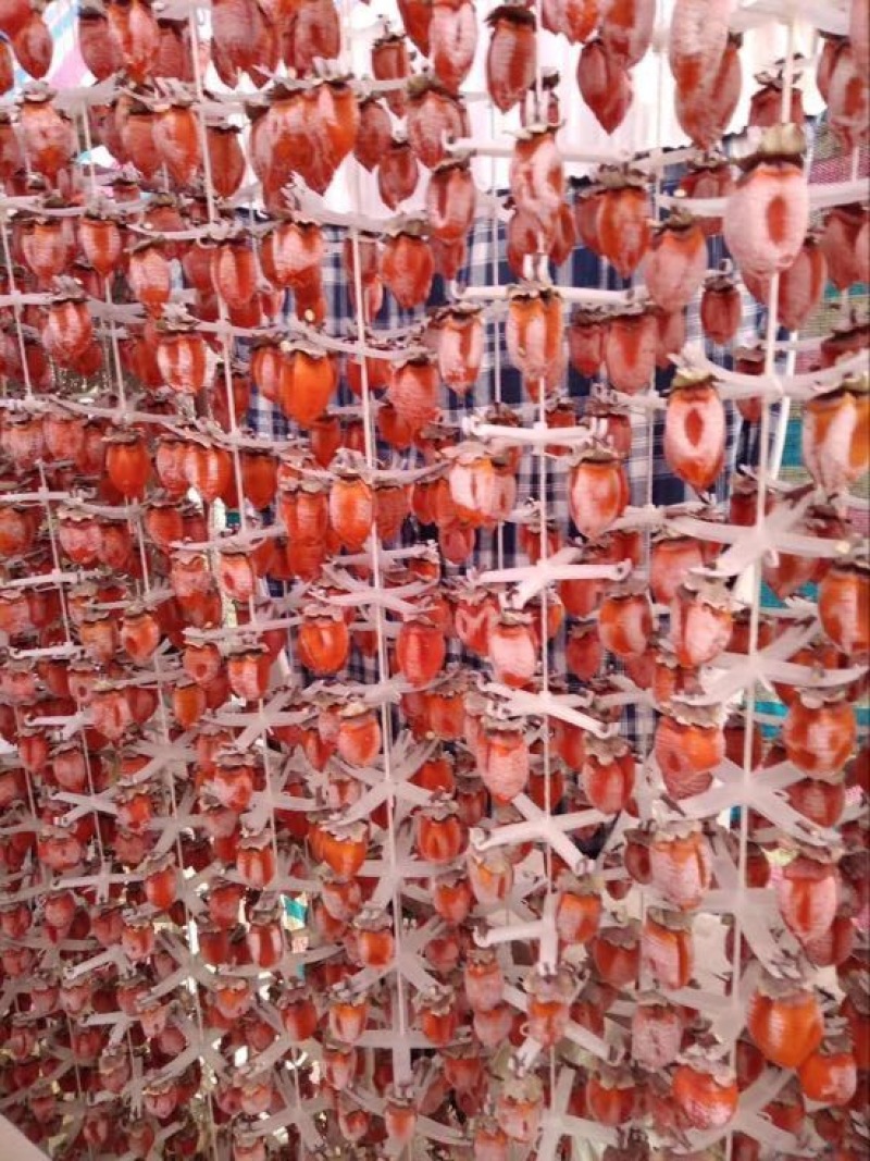 柿饼1~2两