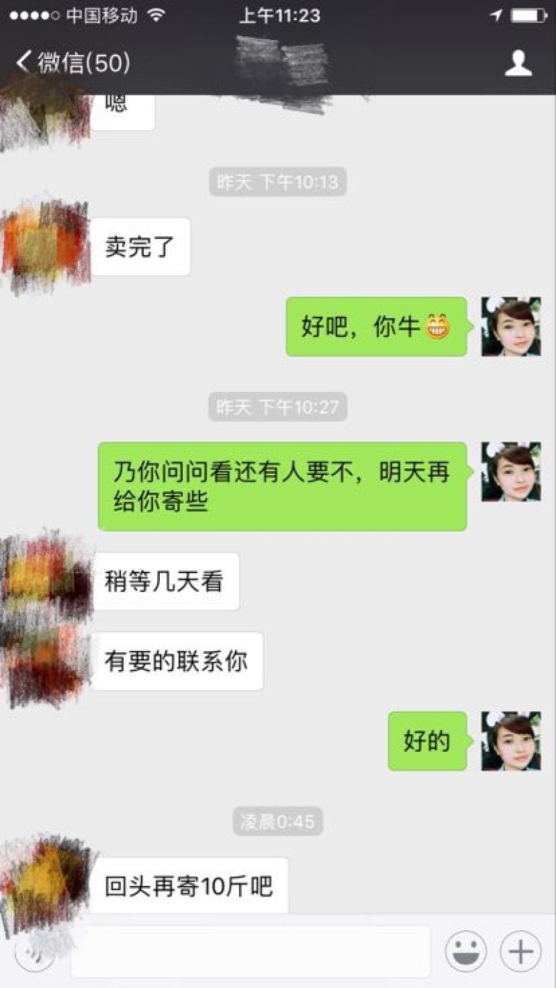 柿饼1~2两