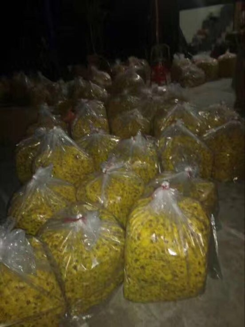金丝皇菊茶一罐20克50-60左右一朵一杯菊花茶
