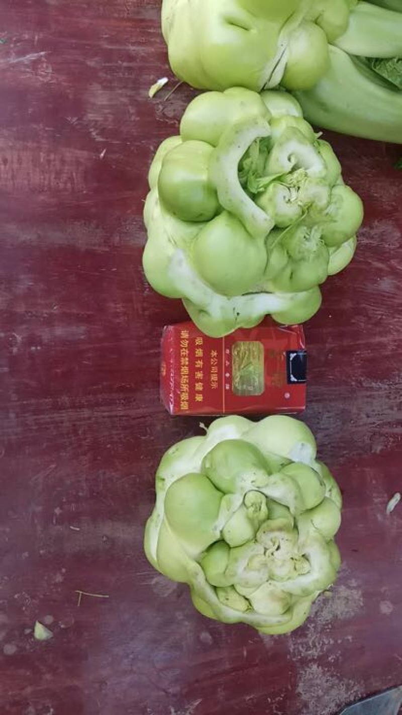 榨菜5两以上