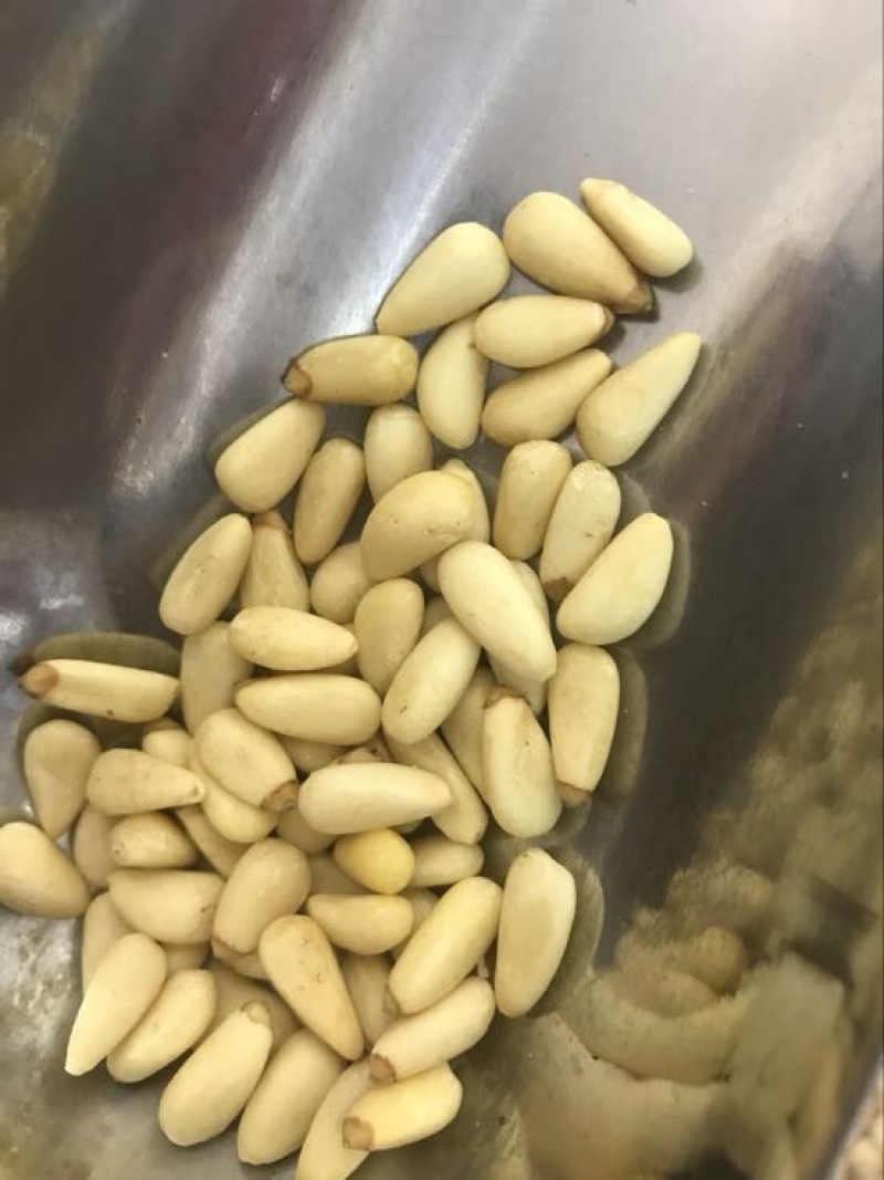 东北松子特级
