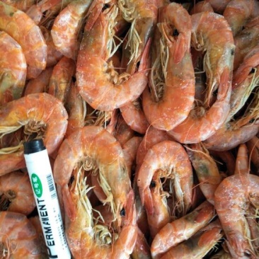 对虾干