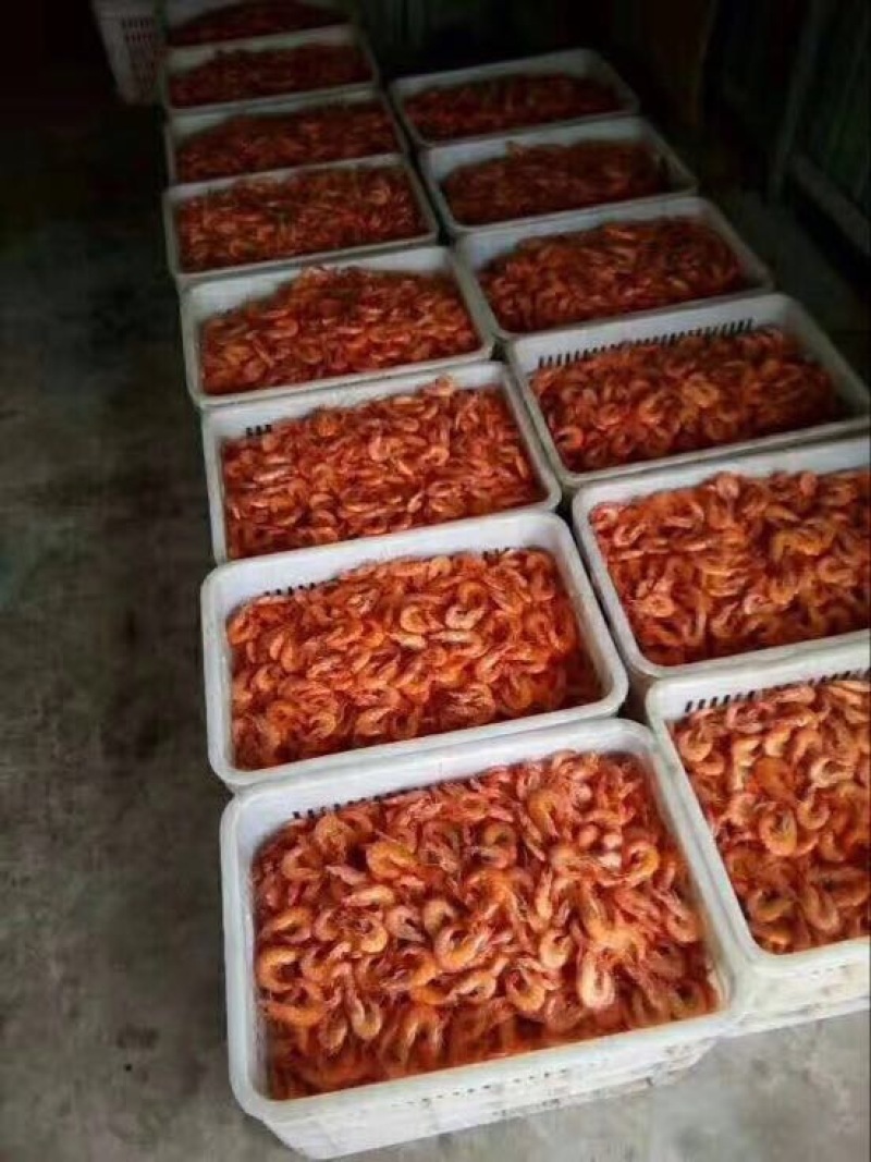对虾干