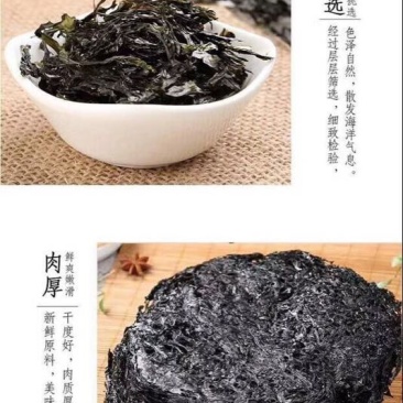 紫菜野生头水