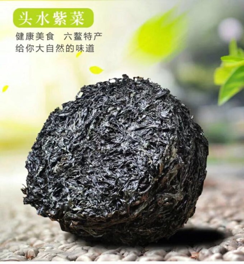 紫菜野生头水