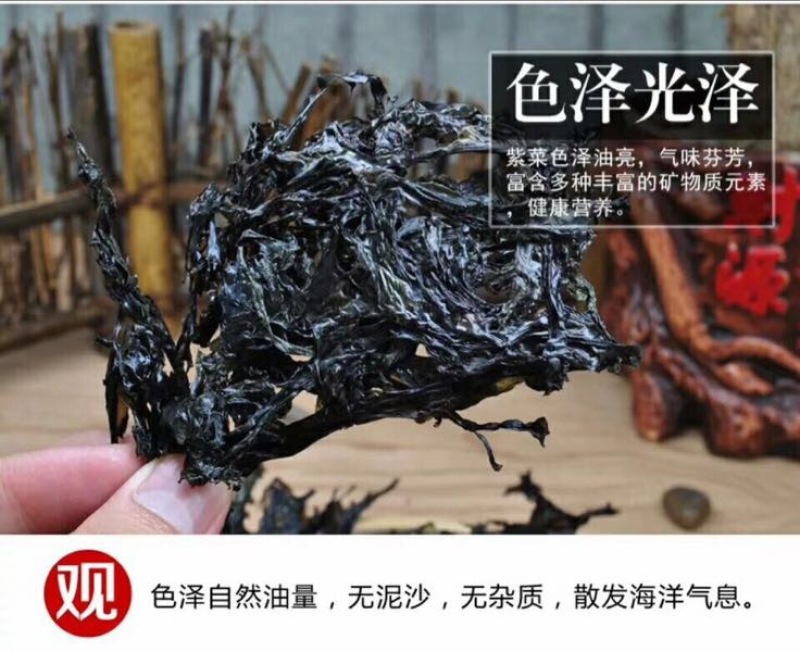 紫菜野生头水