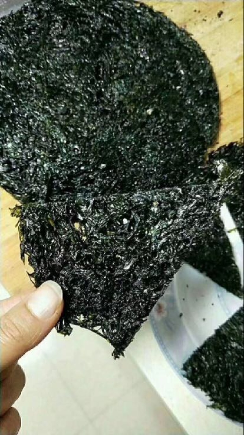 紫菜野生头水