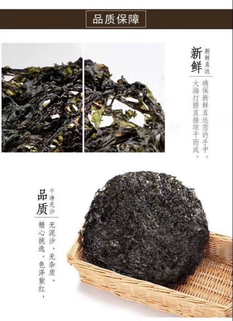 紫菜野生头水
