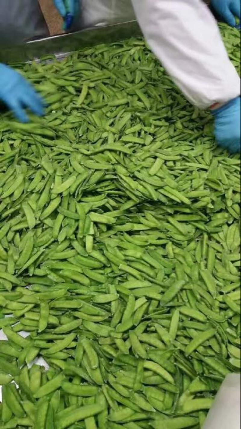 麻笋9cm以下