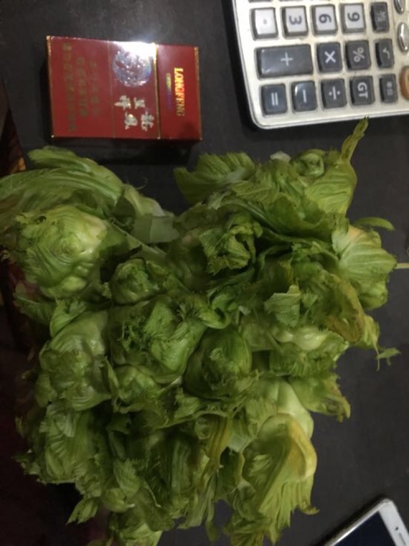儿菜5两以上
