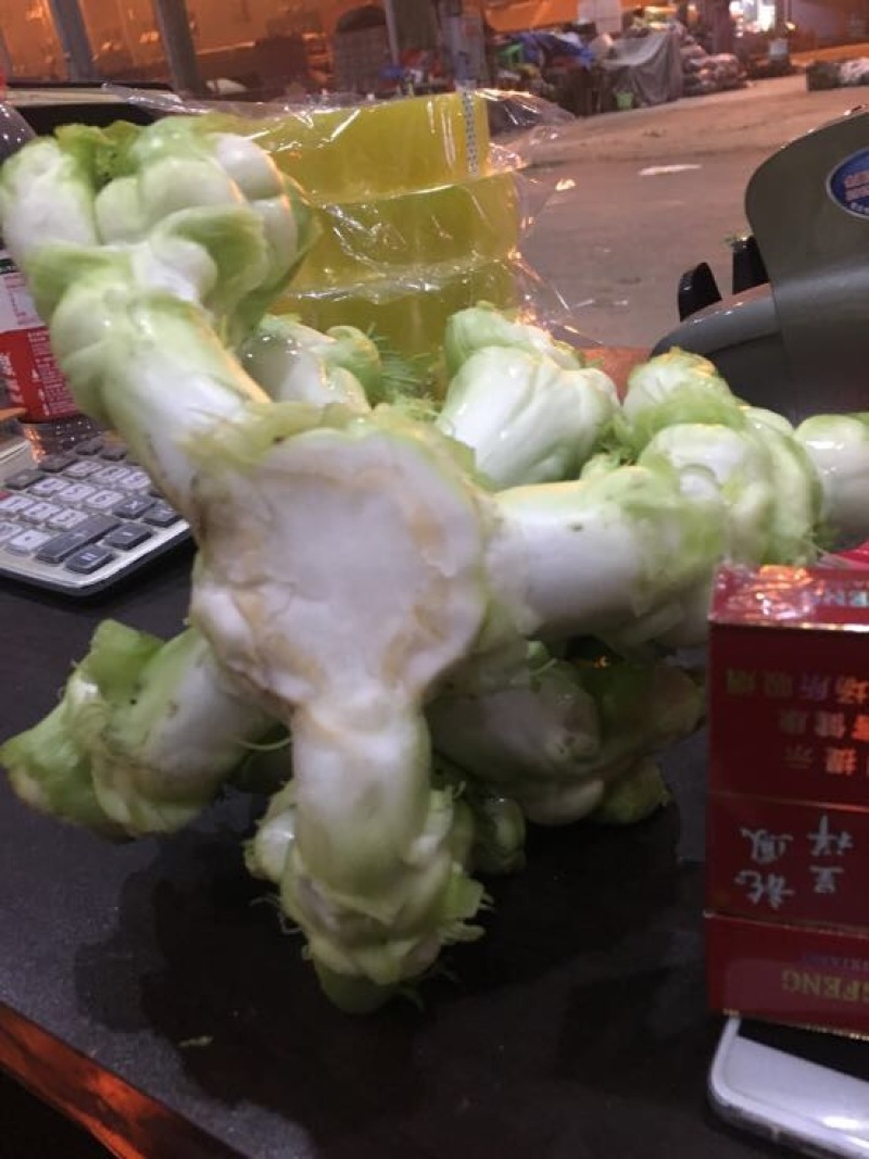 儿菜5两以上