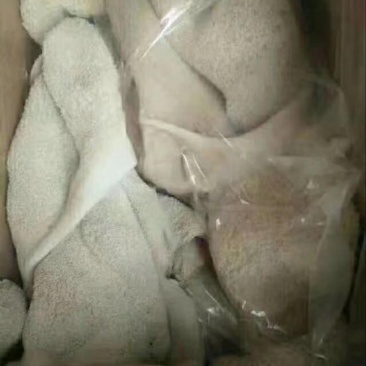 牛肚冷冻