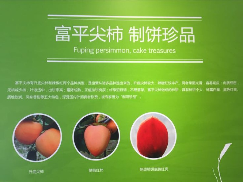 柿饼1~2两