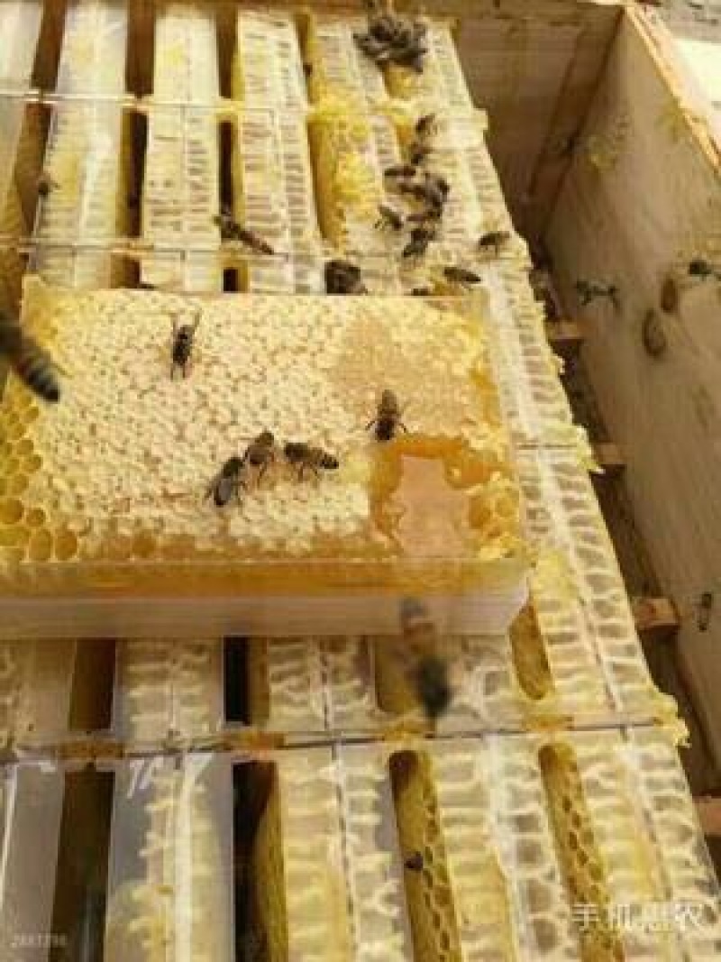 蜂巢蜜一盒一斤