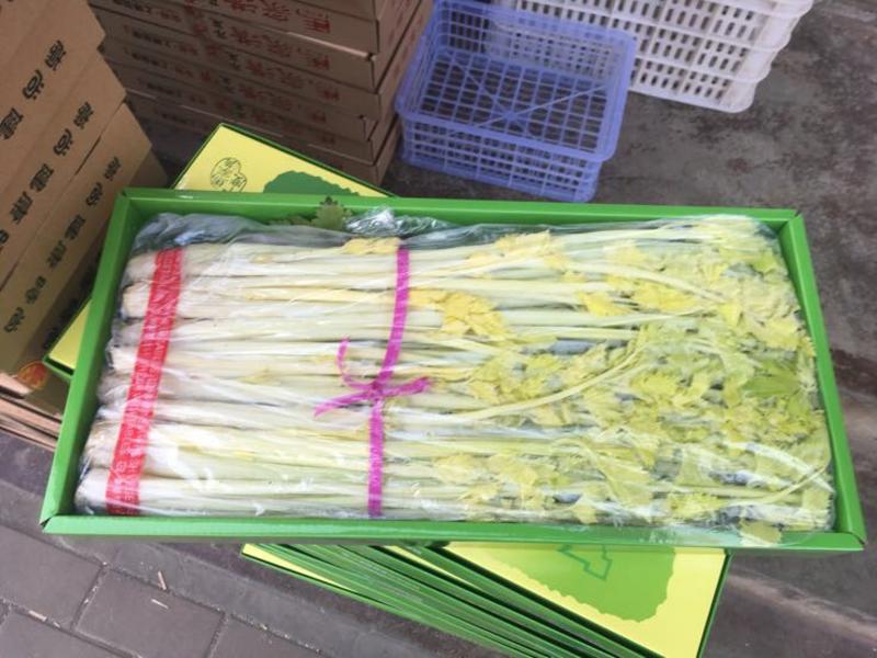山东马家沟芹菜45cm以上各种品质礼盒，黄芯