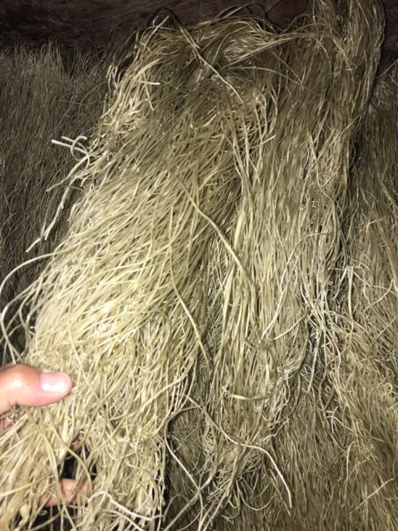 红薯粉丝散装