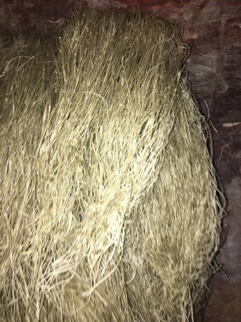 红薯粉丝散装