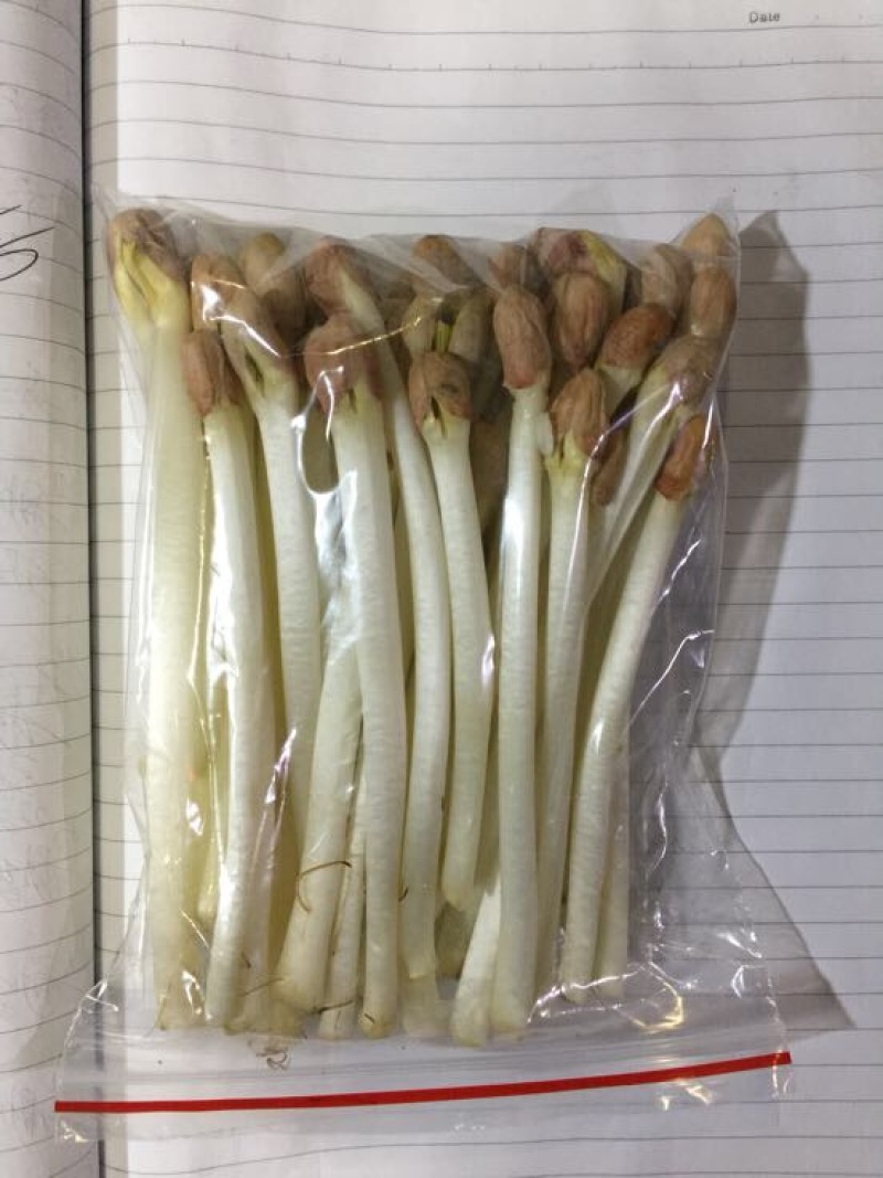 花生芽包装