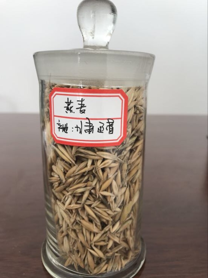 燕麦产地直销，价格实惠，质量有保障