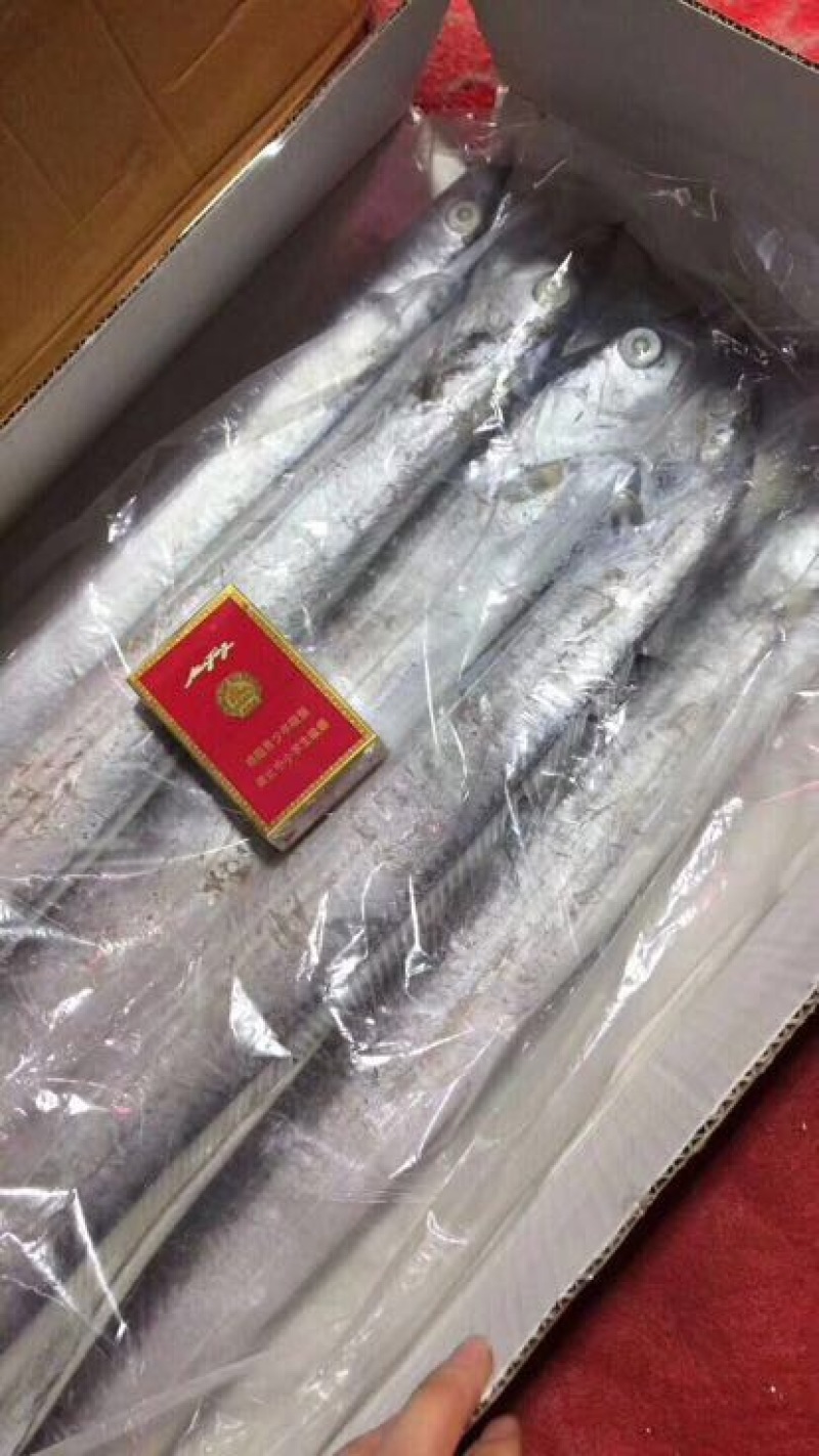 刀鱼食用冻鱼