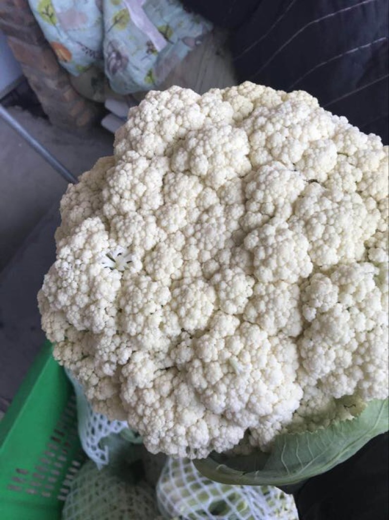 菜花青梗散花