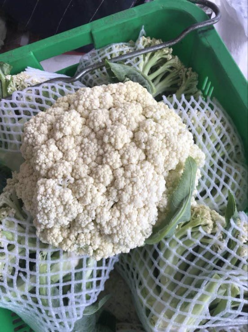 菜花青梗散花