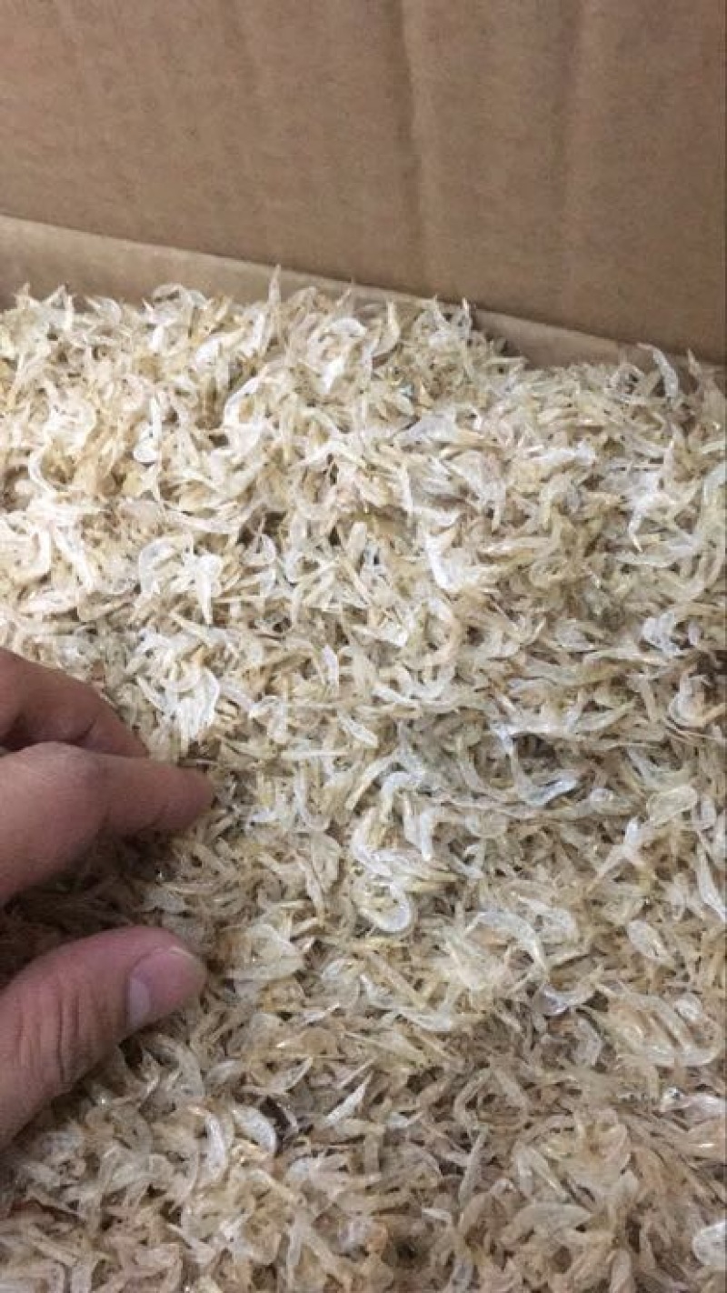 虾皮生哂虾皮