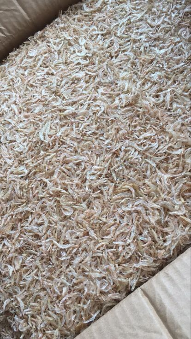 虾皮生哂虾皮