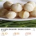 夏威夷果不带壳