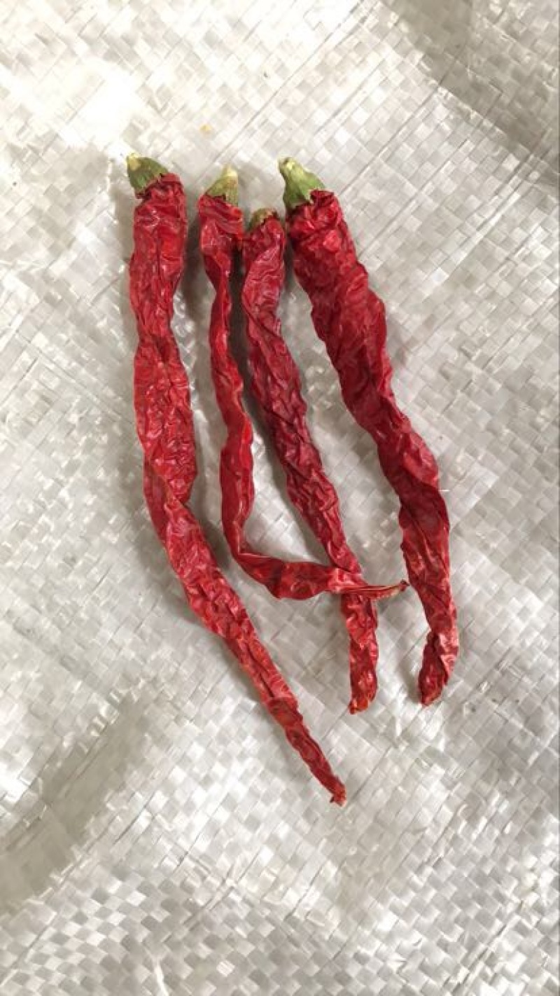 线椒干辣椒9成干以上上通货