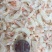 虾皮一级