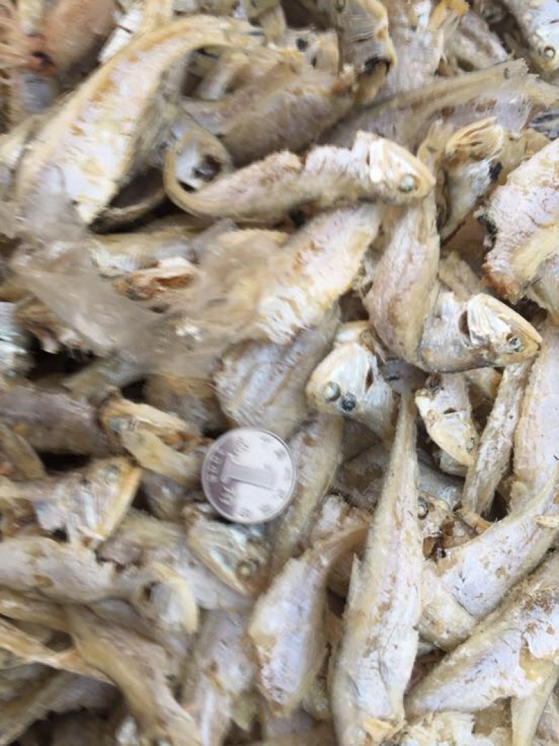 虾皮一级