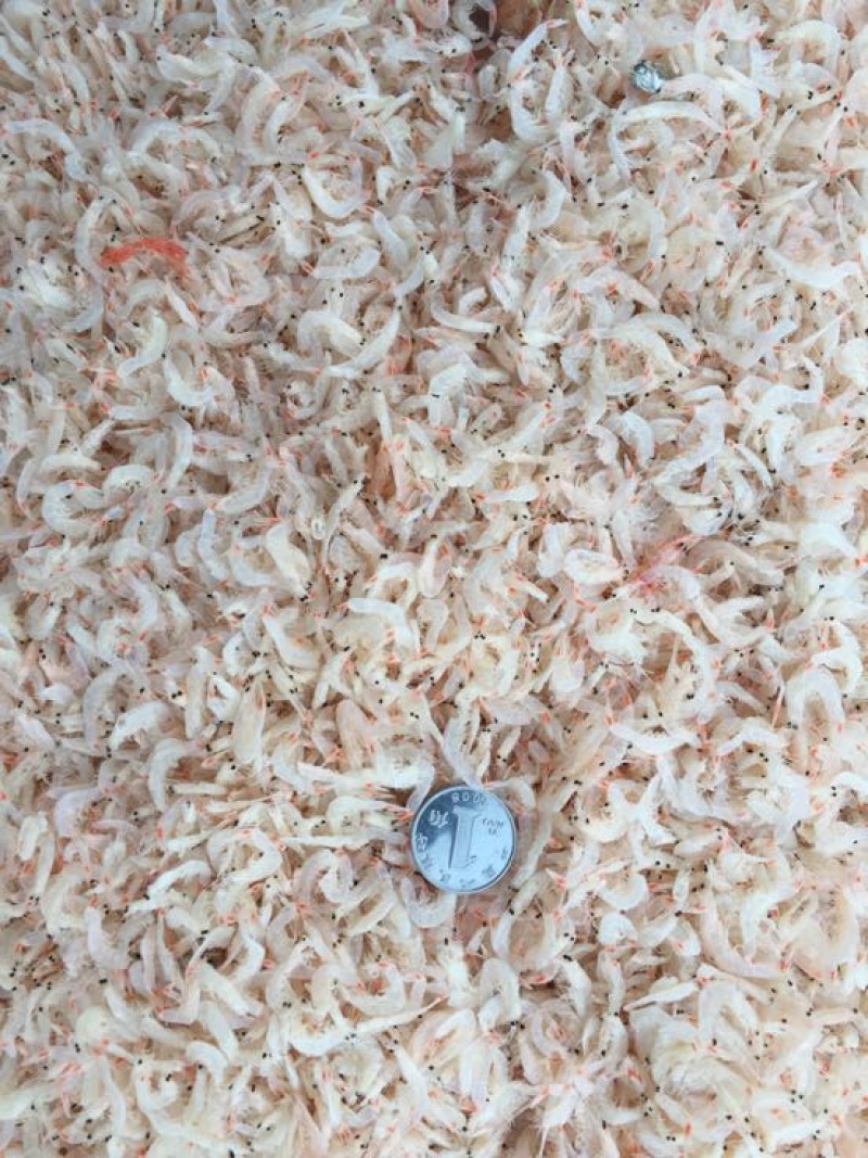 虾皮一级