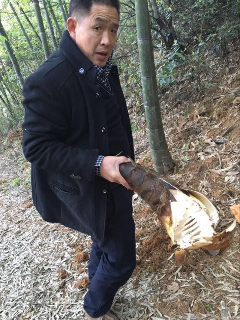 笋干农家自产自销精品笋干