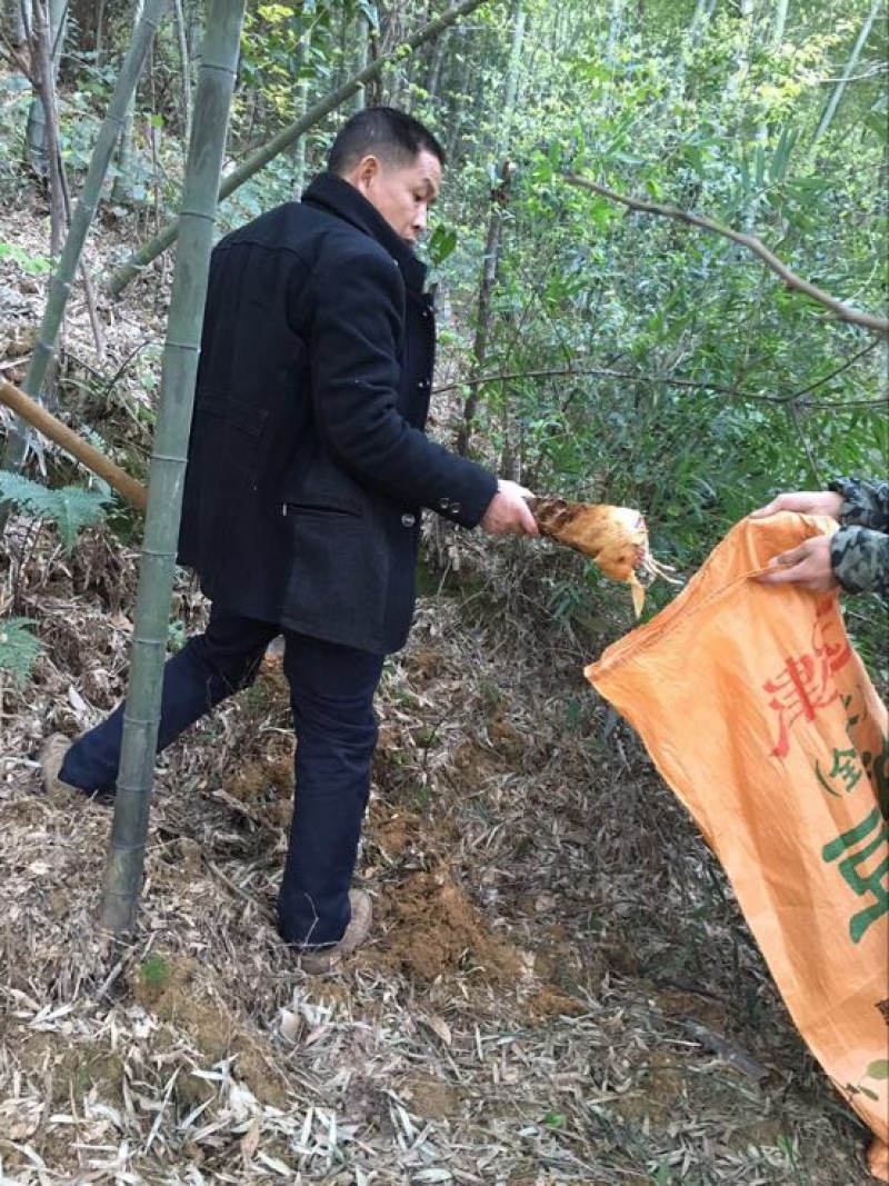 笋干农产自产精品小笋干