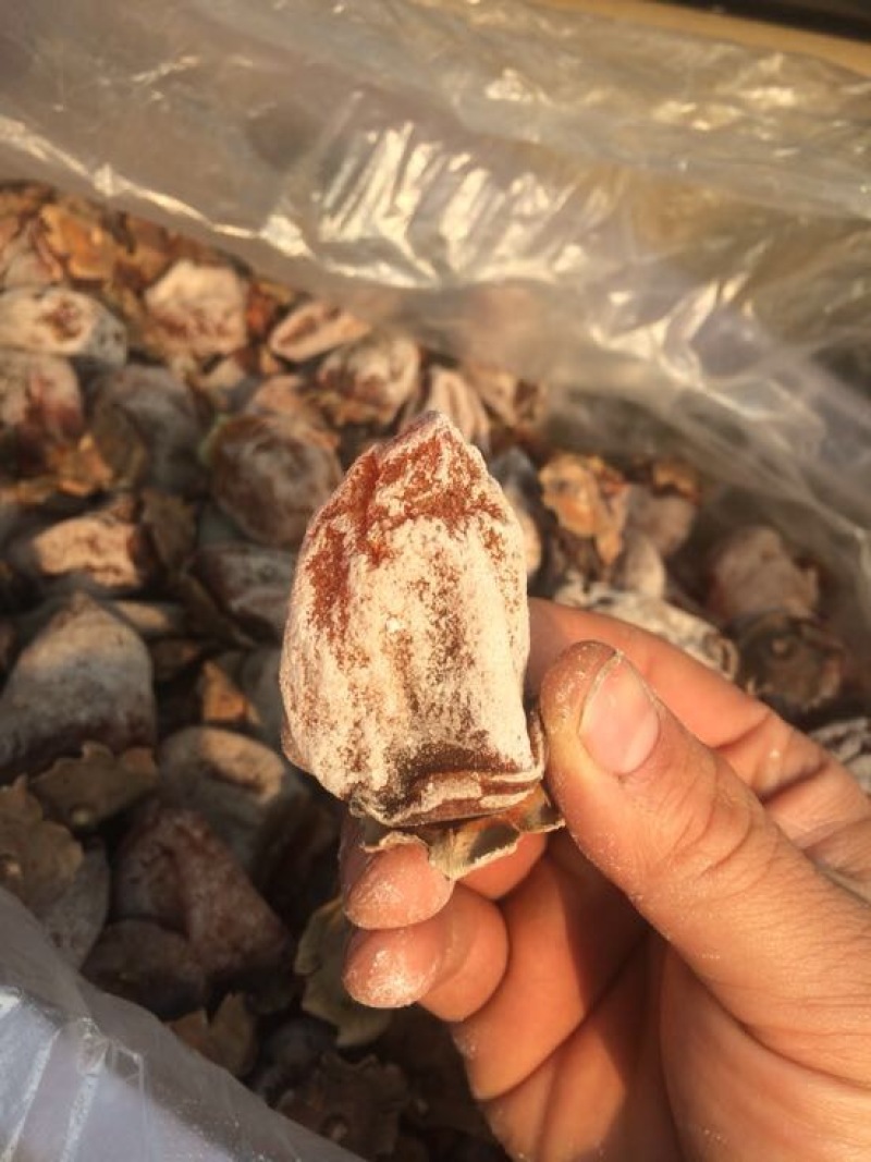 柿饼1~2两
