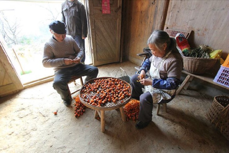 柿饼1两以下
