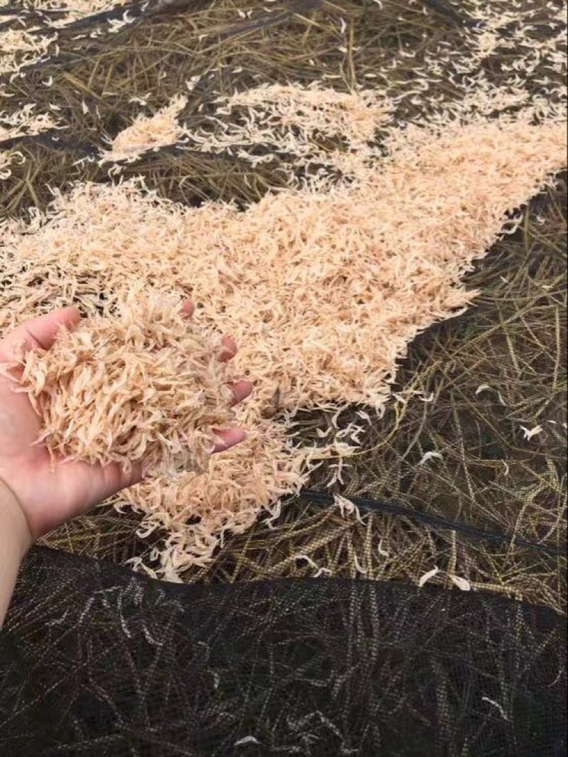 虾皮一级