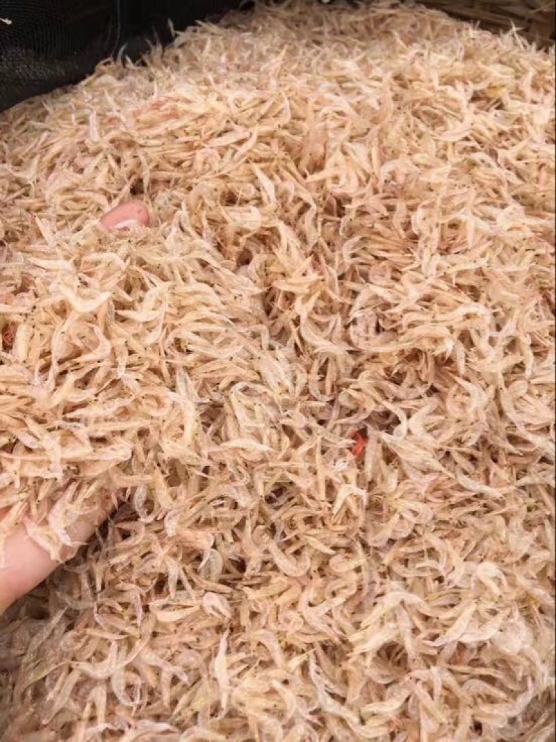 虾皮一级