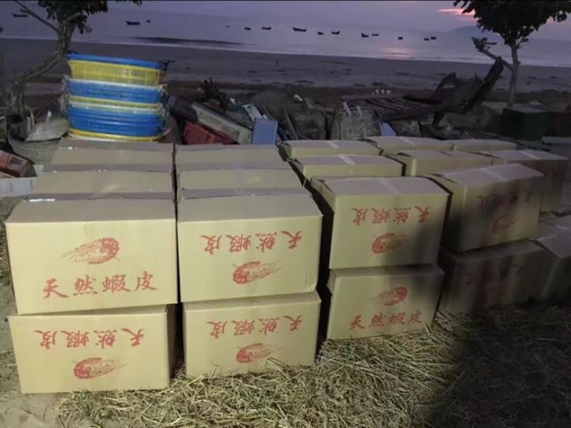 虾皮一级