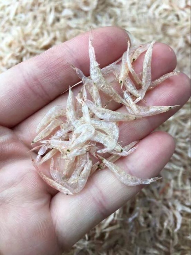 虾皮一级