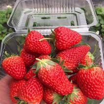 奶油草莓30~40克