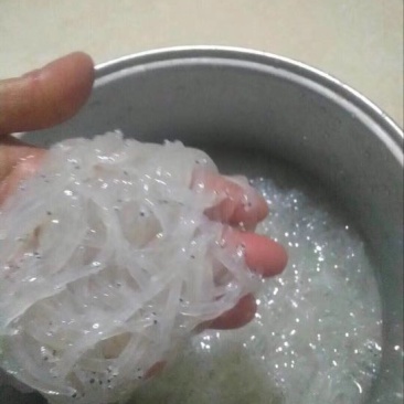 大银鱼冰鲜鱼小银鱼