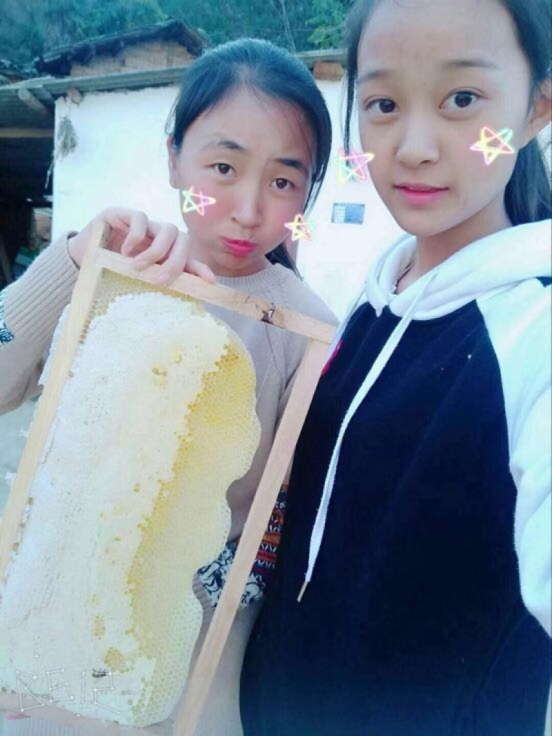 野山花蜂蜜2斤