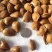 杏胡甜核