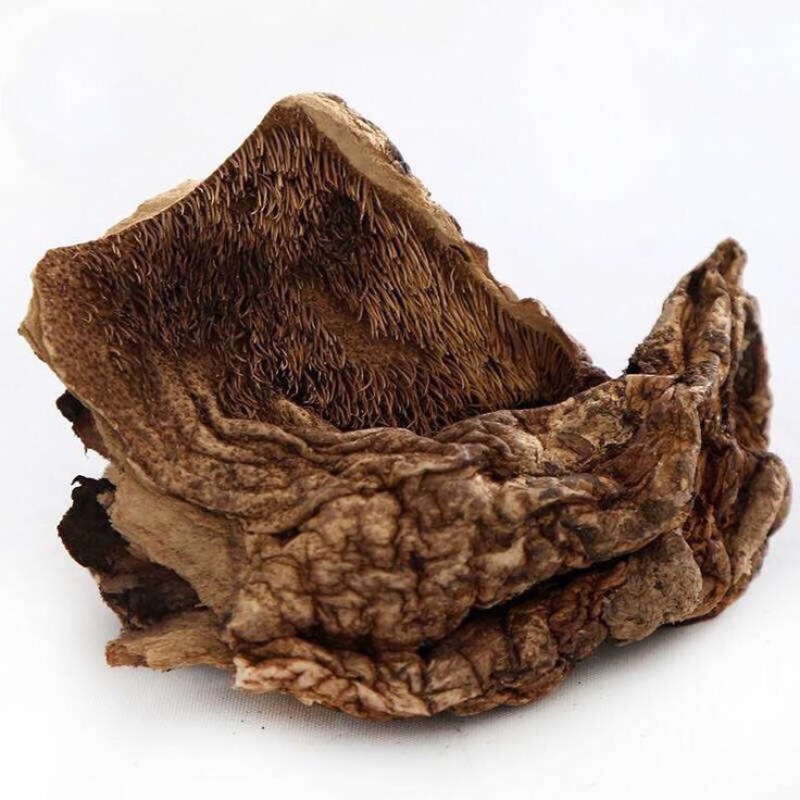 黑虎掌